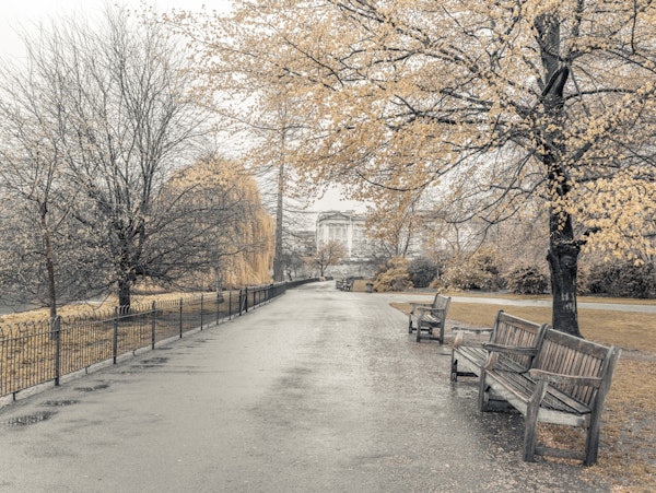 Picturesque St James Park