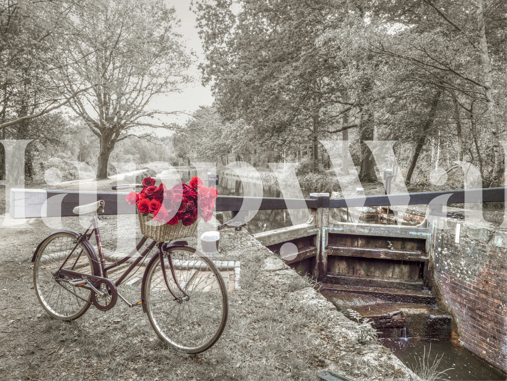 Tapeta Canal Romance s biciklom i ružama
