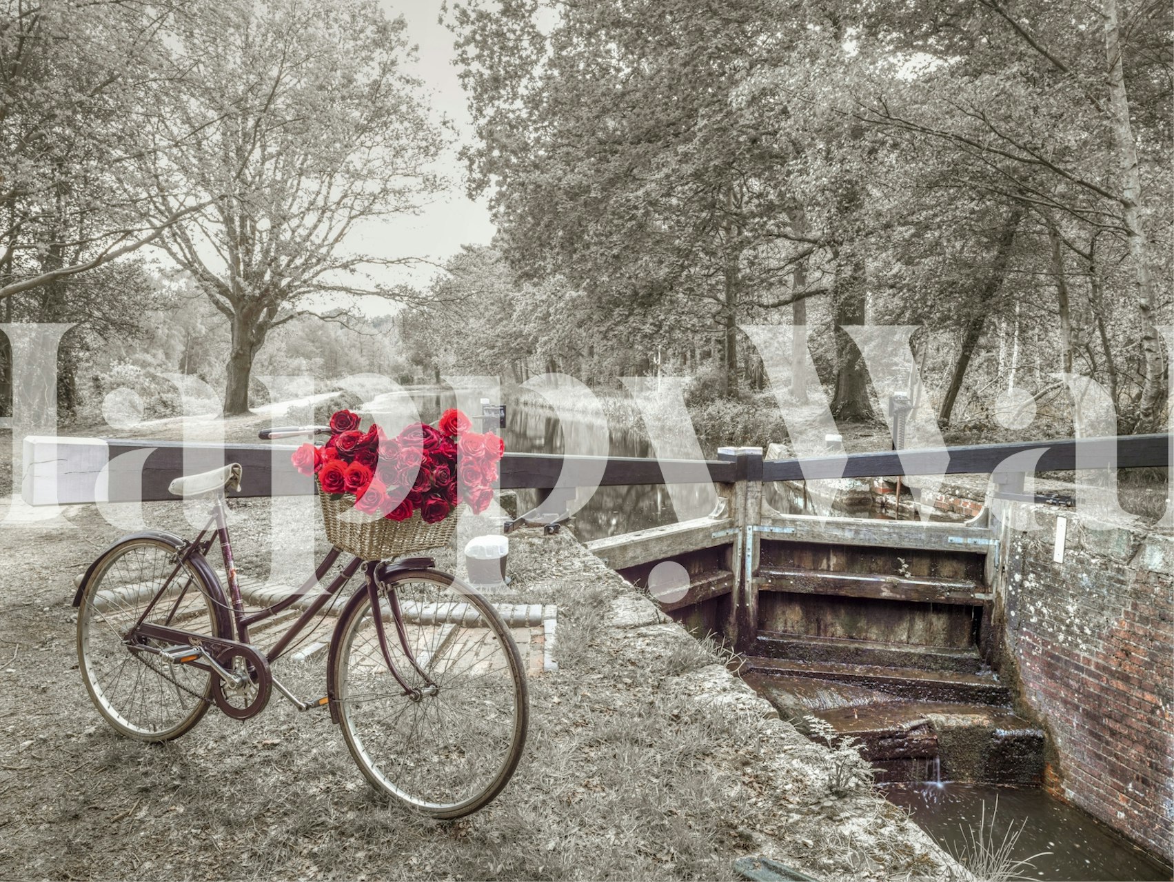 Canal Romance tapet med en sykkel og roser