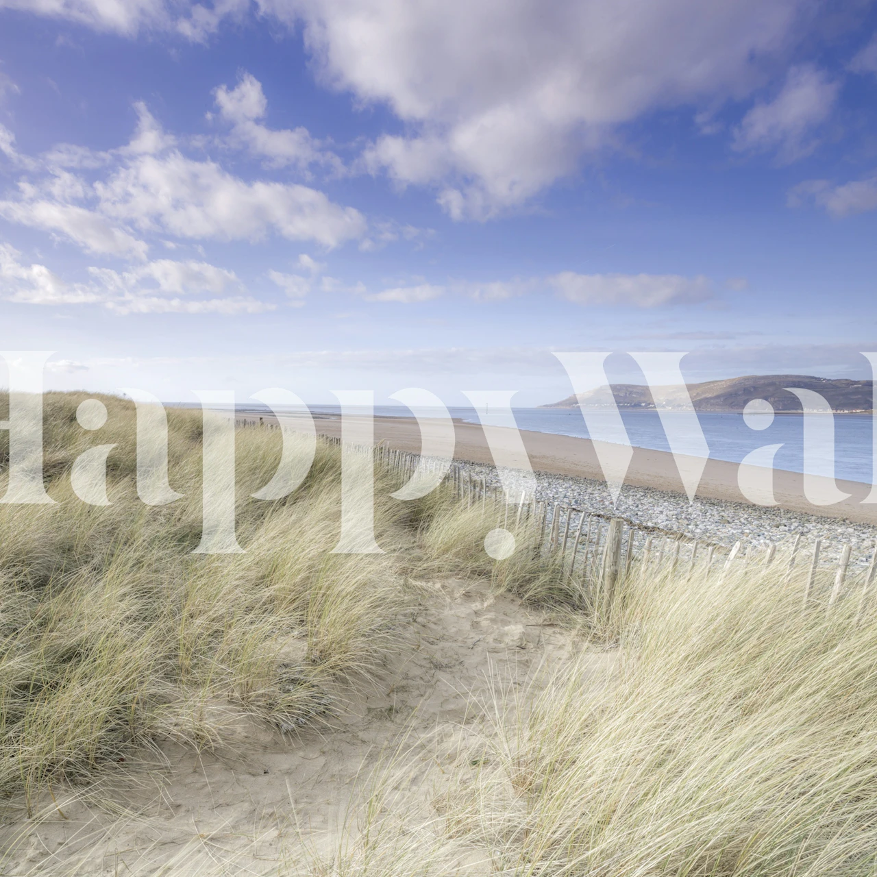Coastal beach landscape with sandy dunes and blue sky wallpaper