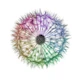 Whimsical Kaleidoscope