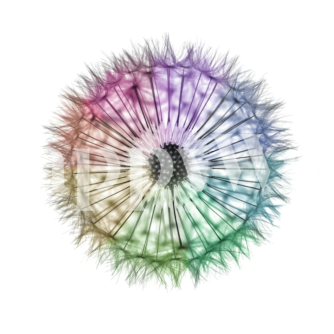 Whimsical kaleidoscope wallpaper displayed in a room