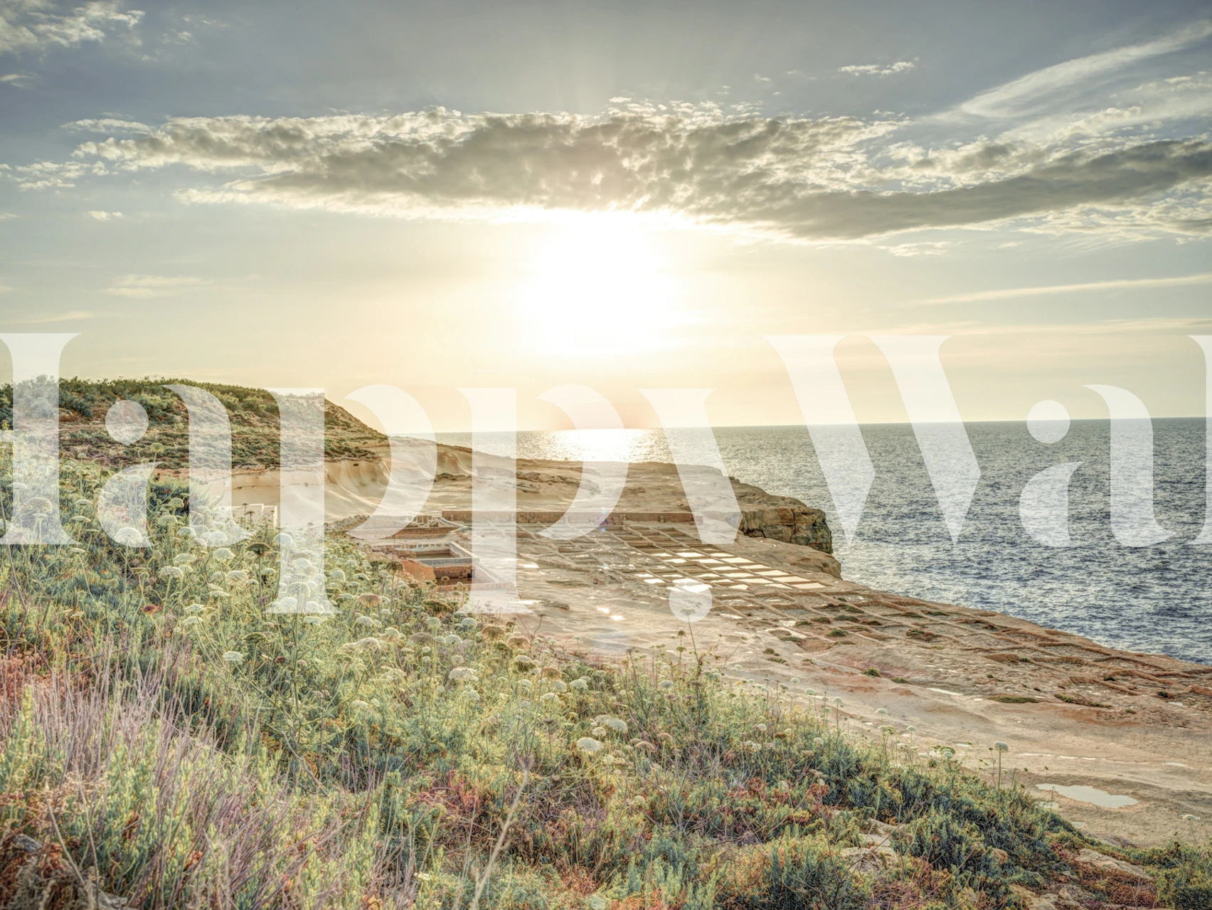 Sunset over salt pans and ocean, green vegetation, natural wallpaper