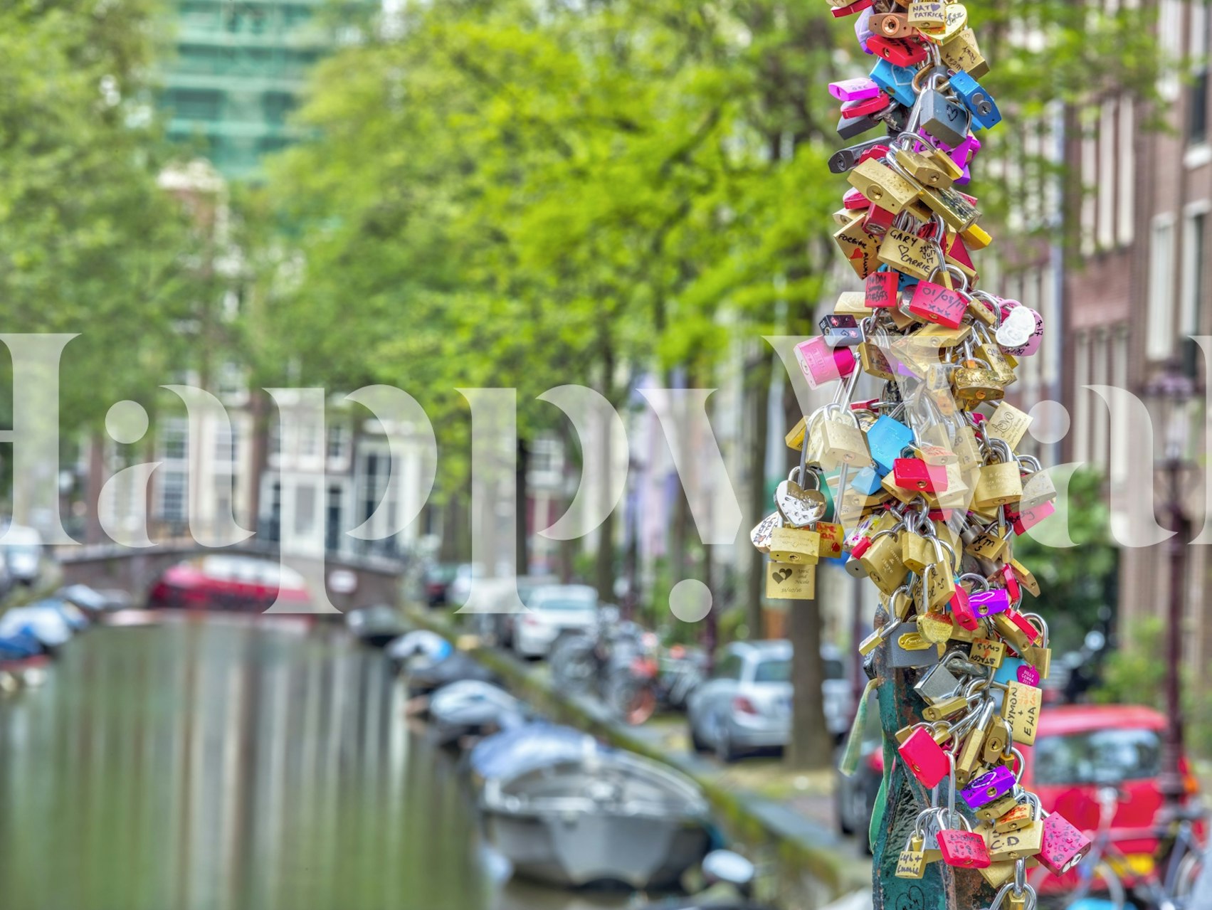 Love Locks Bridge wallpaper in a room