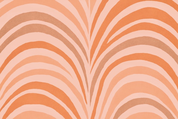 Boho Bow Shapes Warm Tangerine Peach