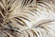 Midnight Jungle Palm Cove Brown Foliage