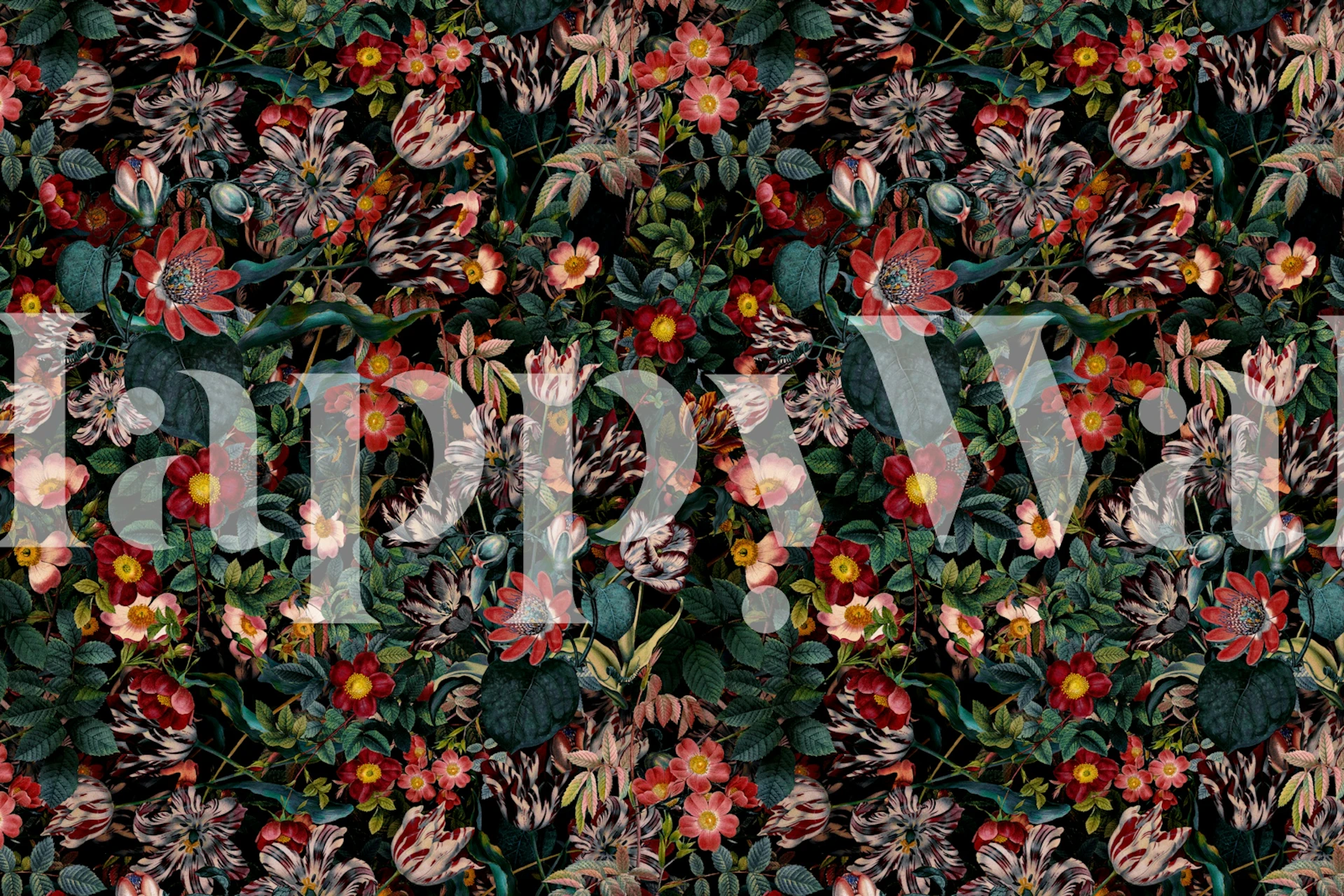 Dizajn tapeta Dark Garden Flowers