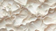 Organic shapes abstract texture surface