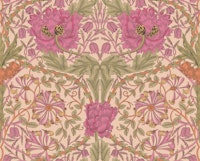 Victorian Honeysuckle and Tulip 17 wallpaper