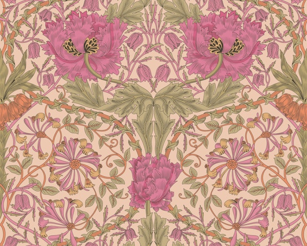 Victorian Honeysuckle and Tulip 17