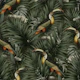 Toucans Lush Tropical Jungle Paradise