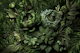 Moody Baroque Jungle Flowers Lush Green