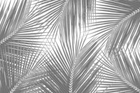 Gray Palm Leaves Finesse 1 behang