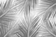 Gray Palm Leaves Finesse 1