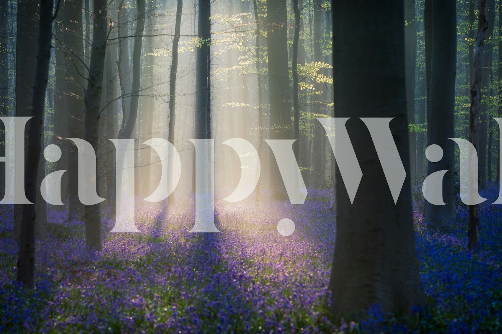 Velvet Light wallpaper in a room setting