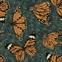 Monarch Madness (teal) tapete