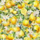 Lemon Blossoms 1