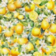 Lemon Blossoms 3