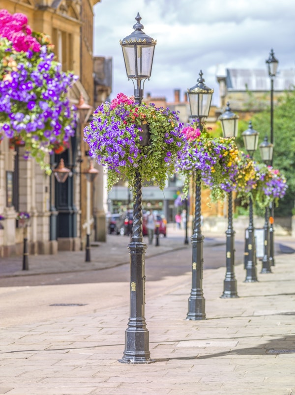 Floral Streetlights