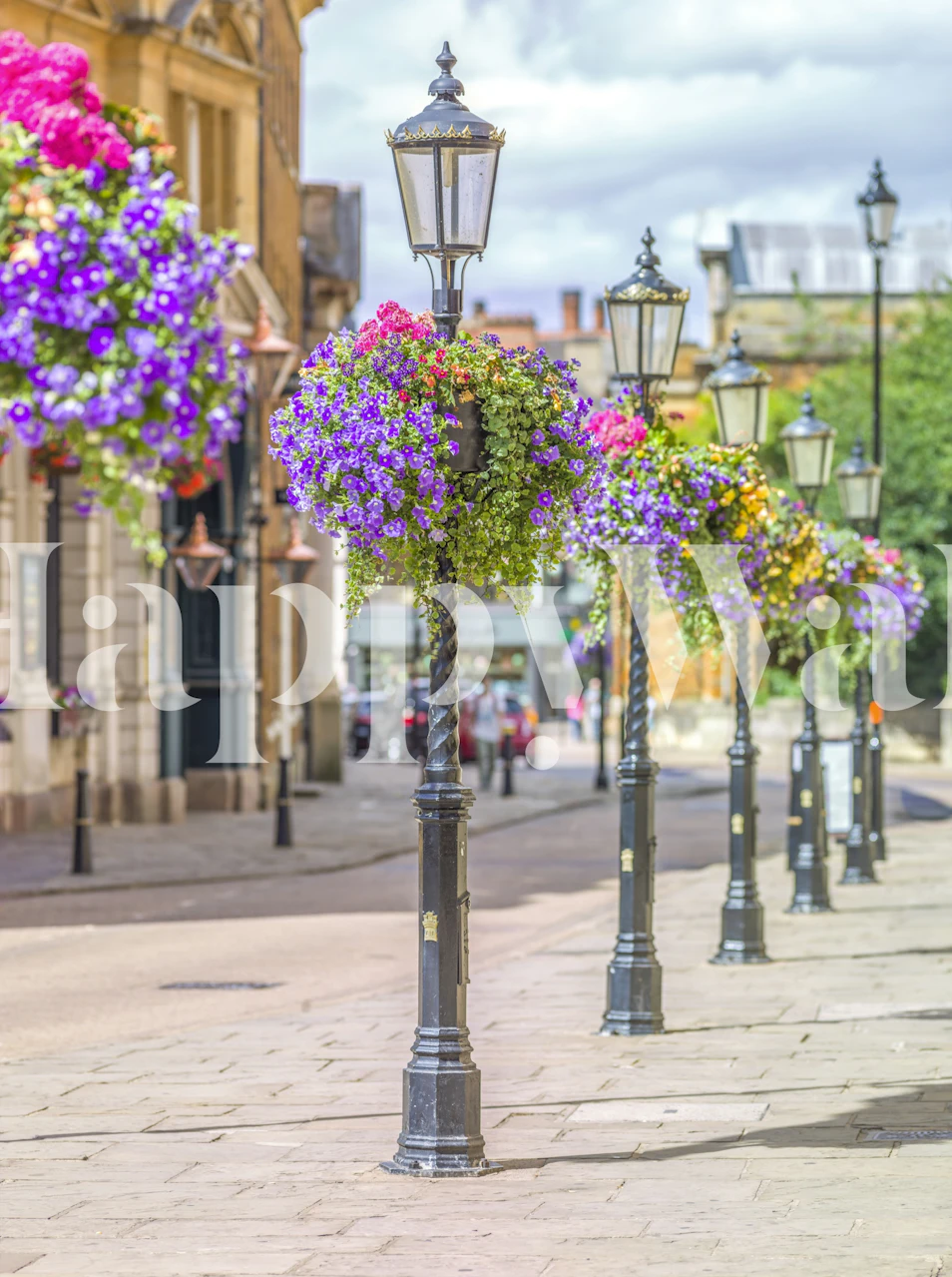 Colorful streetlights adorned with hanging flowers wallpaper