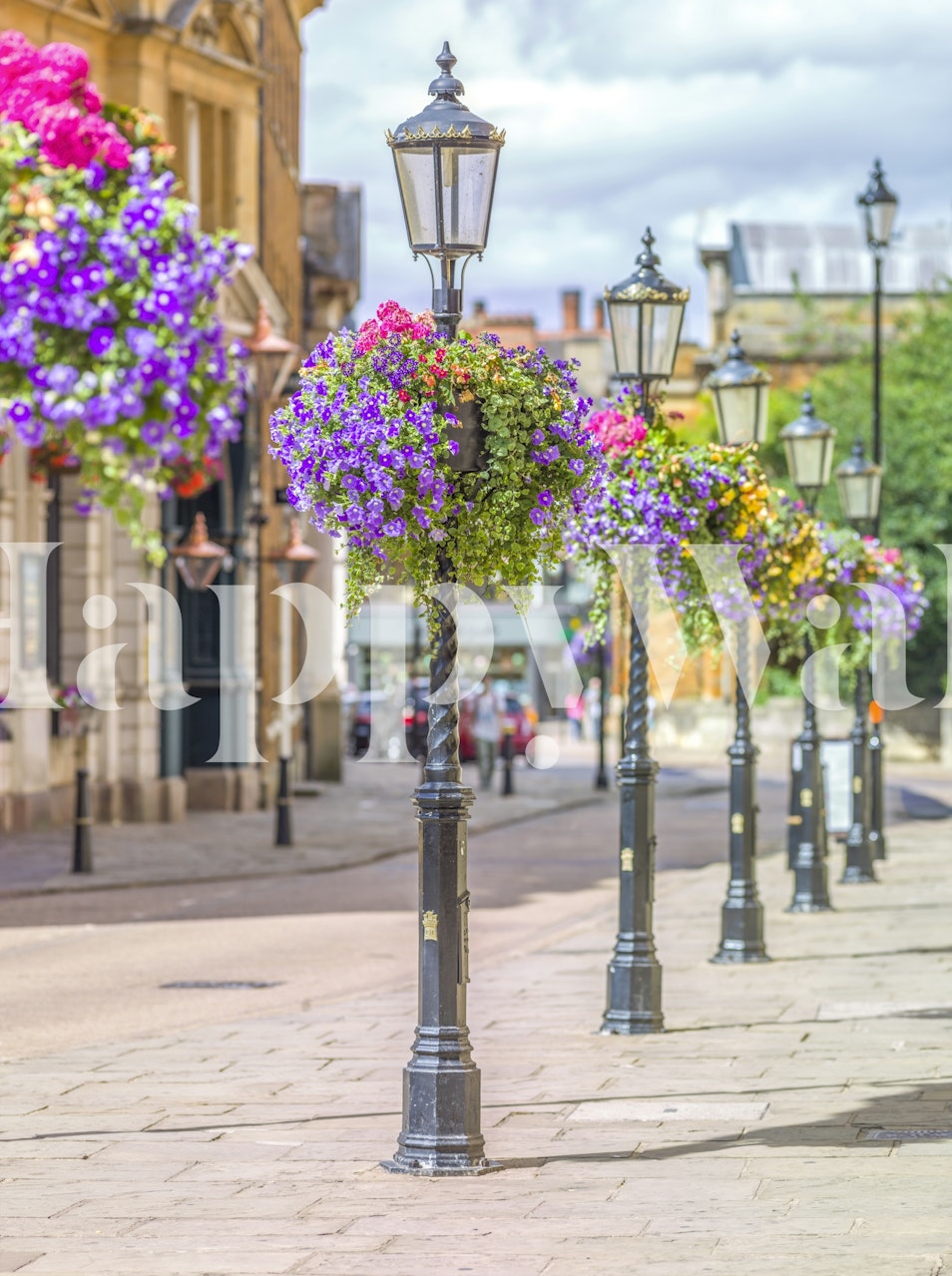 Elegante straatverlichting versierd met bloeiende bloemen muurschildering