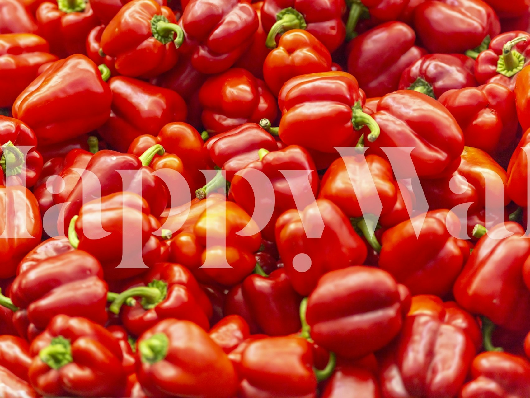 Pepper Perfection wallpaper in a room