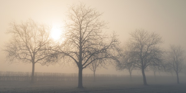 Whispers of Dawn