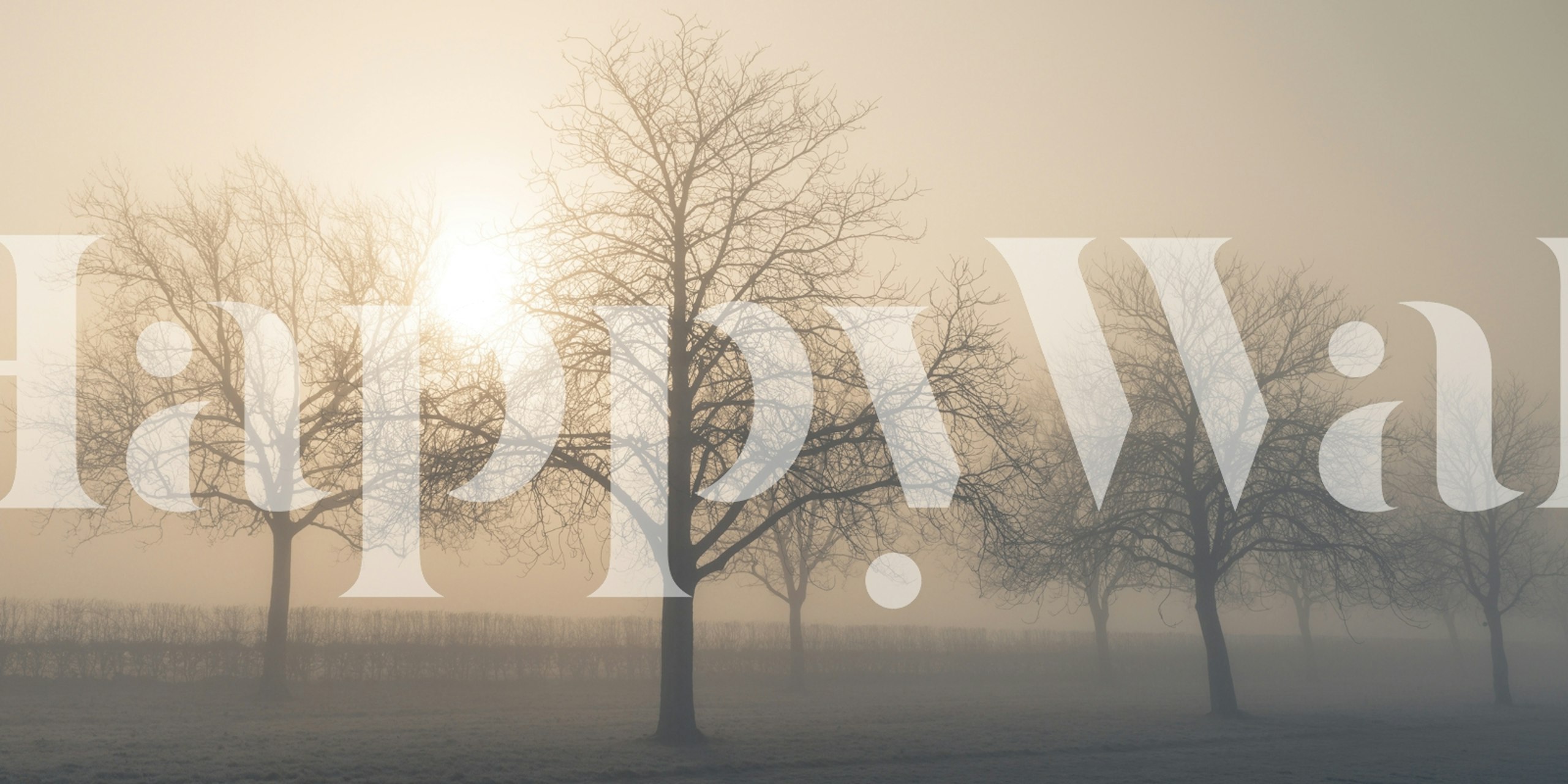 Whispers of Dawn wallpaper in a room