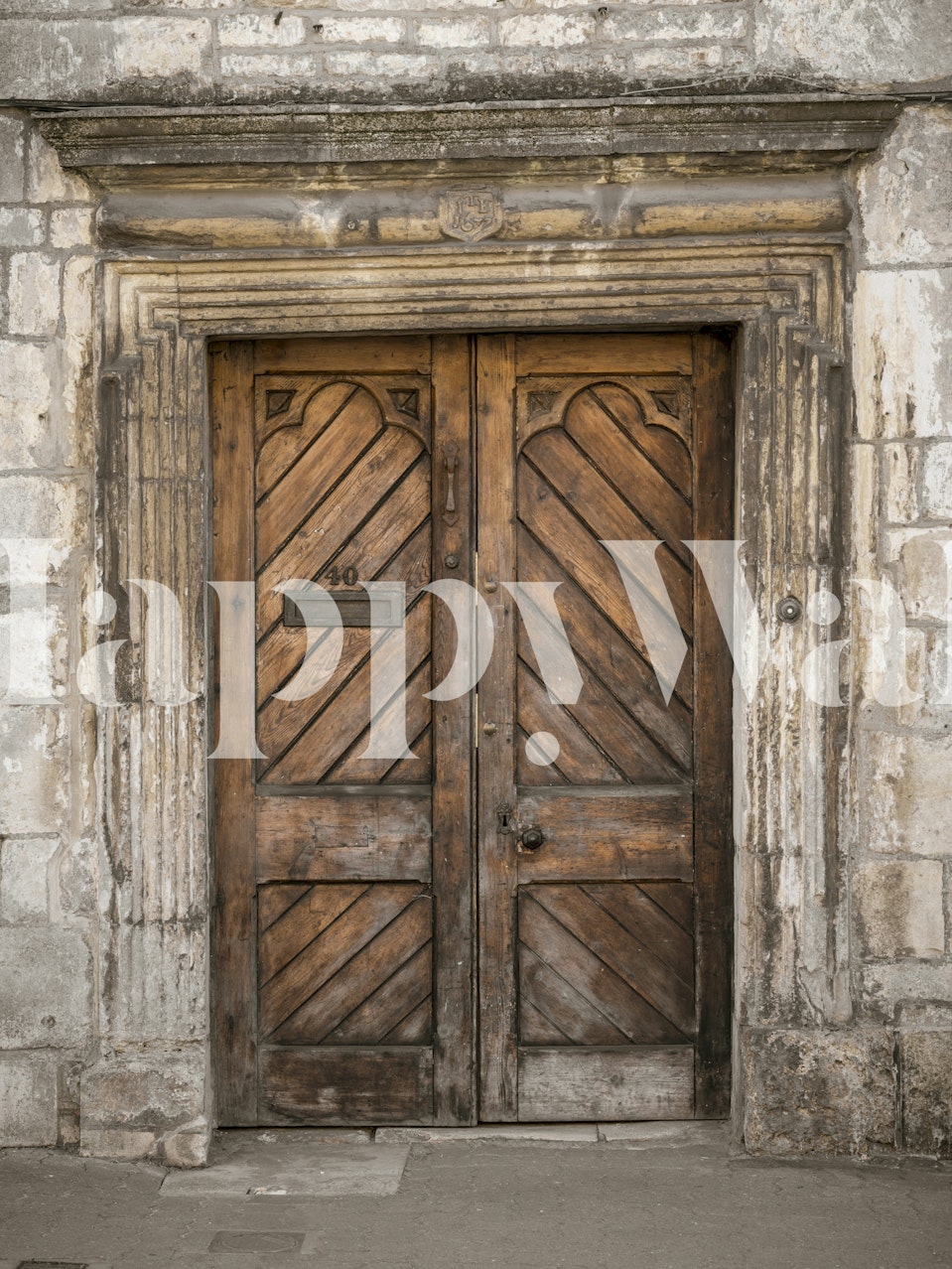 Rustic wooden door with diagonal patterns and stone wall wallpaper