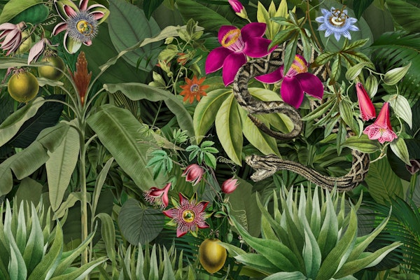 Snake Jungle Tropical Reptile Escape