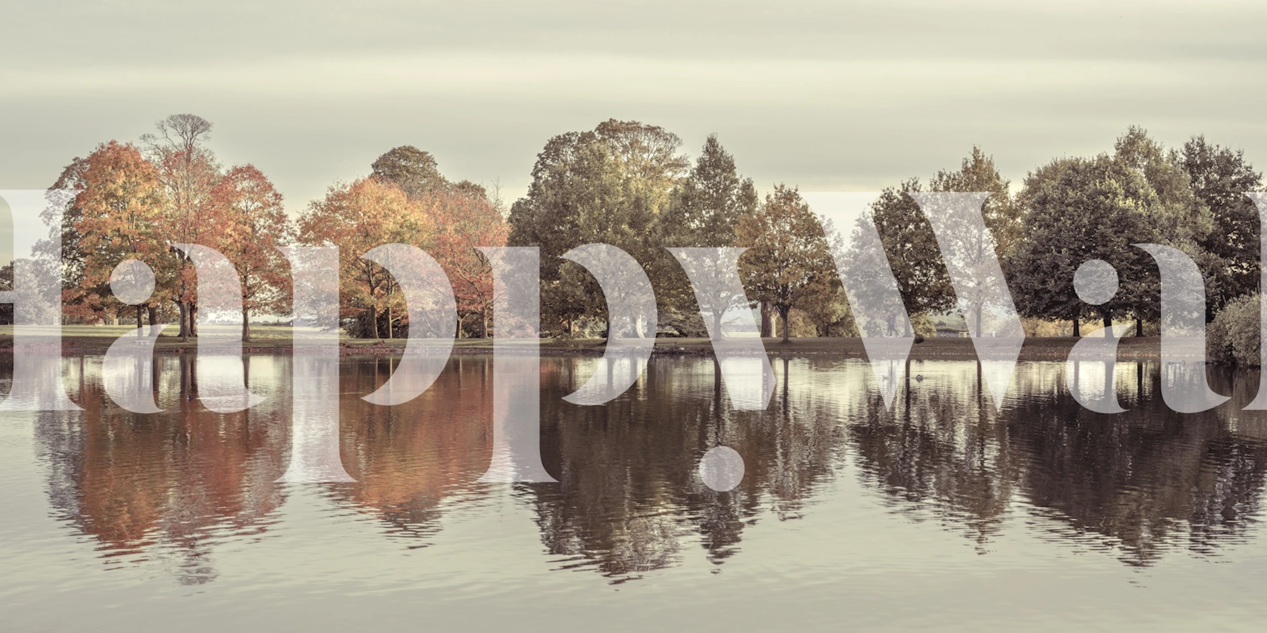 Papel pintado Trees By Lake en una habitación