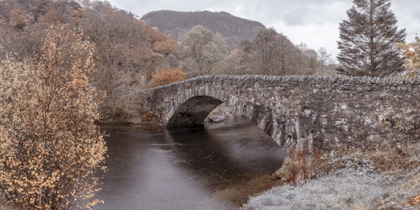 Bridge Amidst Nature