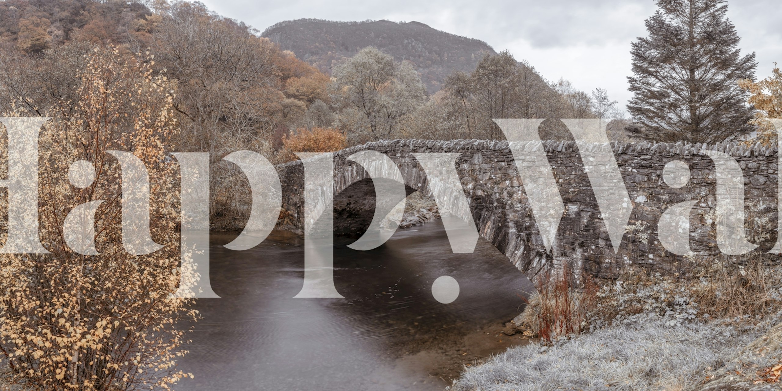 Tapet med en Bridge Amidst Nature