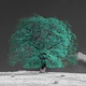 Teal Dream