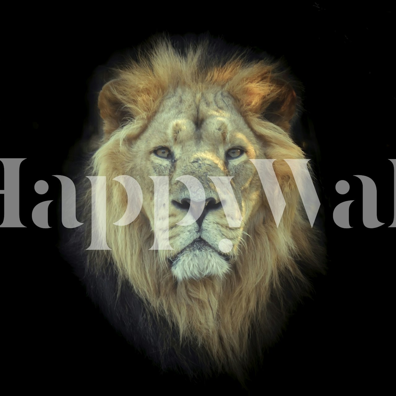 Lion wallpaper design in a room