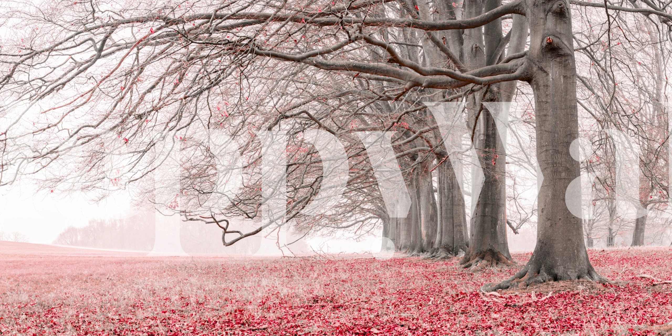 Pink tree landscape with bare branches and soft pink leaves wallpaper