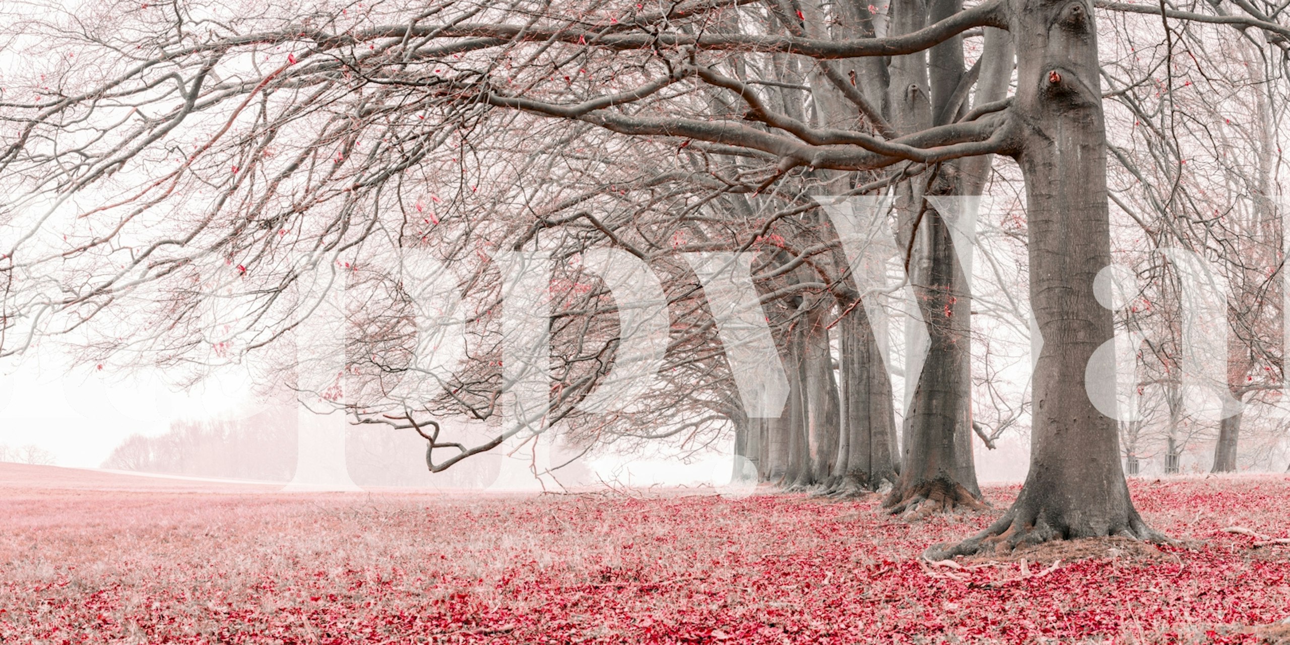 Pink tree landscape with bare branches and soft pink leaves wallpaper