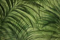 Midnight Jungle Lush Green Tropical Palm Cove papel de parede