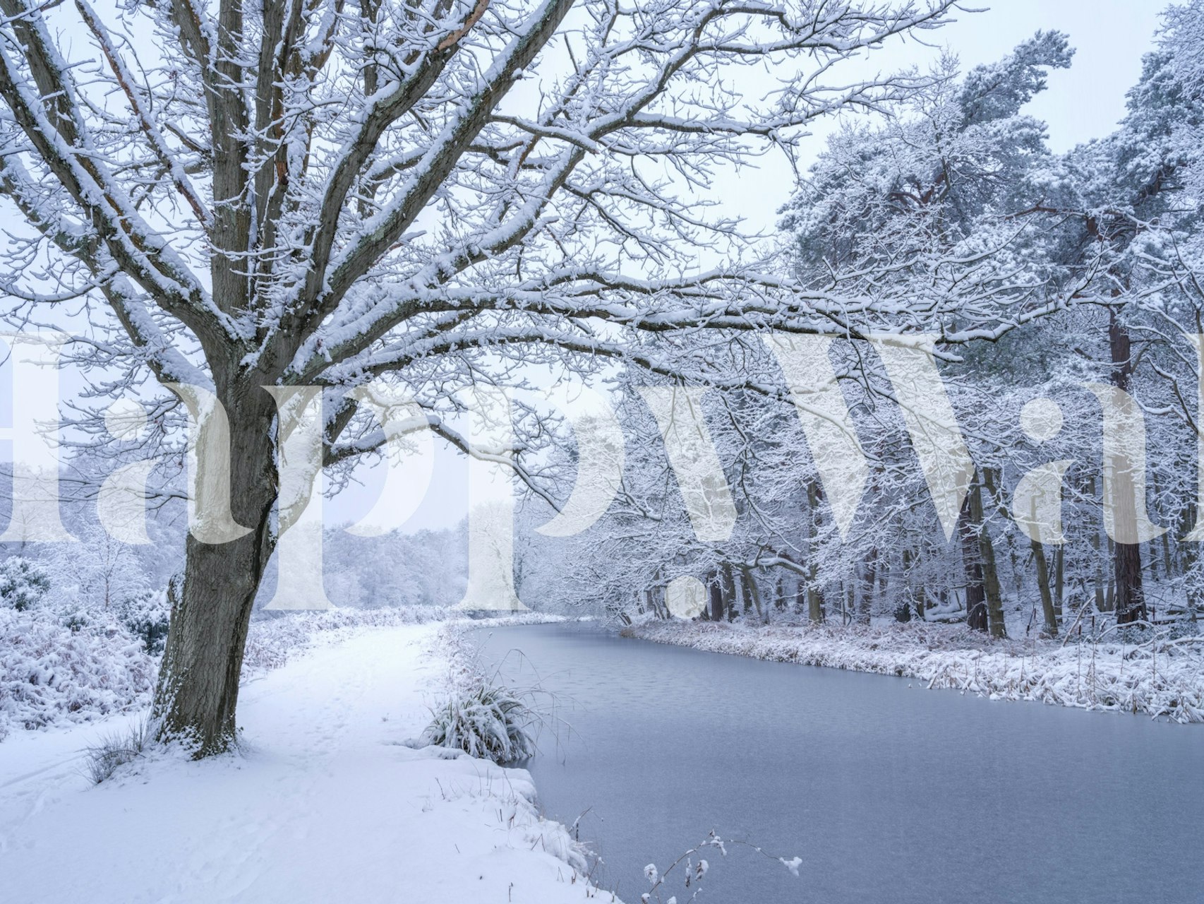 ταπετσαρία Frozen Wonderland σε χειμερινό περιβάλλον