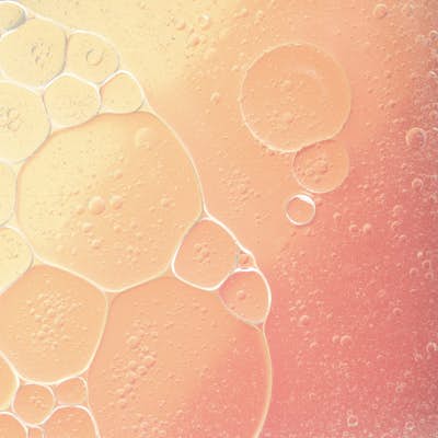 Τοιχογραφία