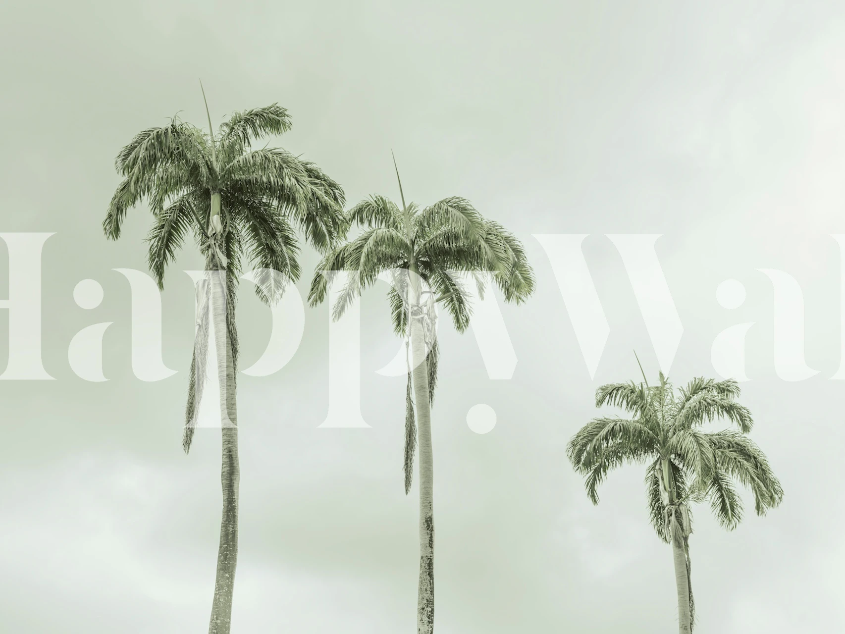 Swaying Elegance wallpaper featuring palm trees