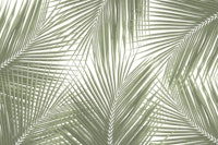 Green Palm Leaves Finesse 1 behang