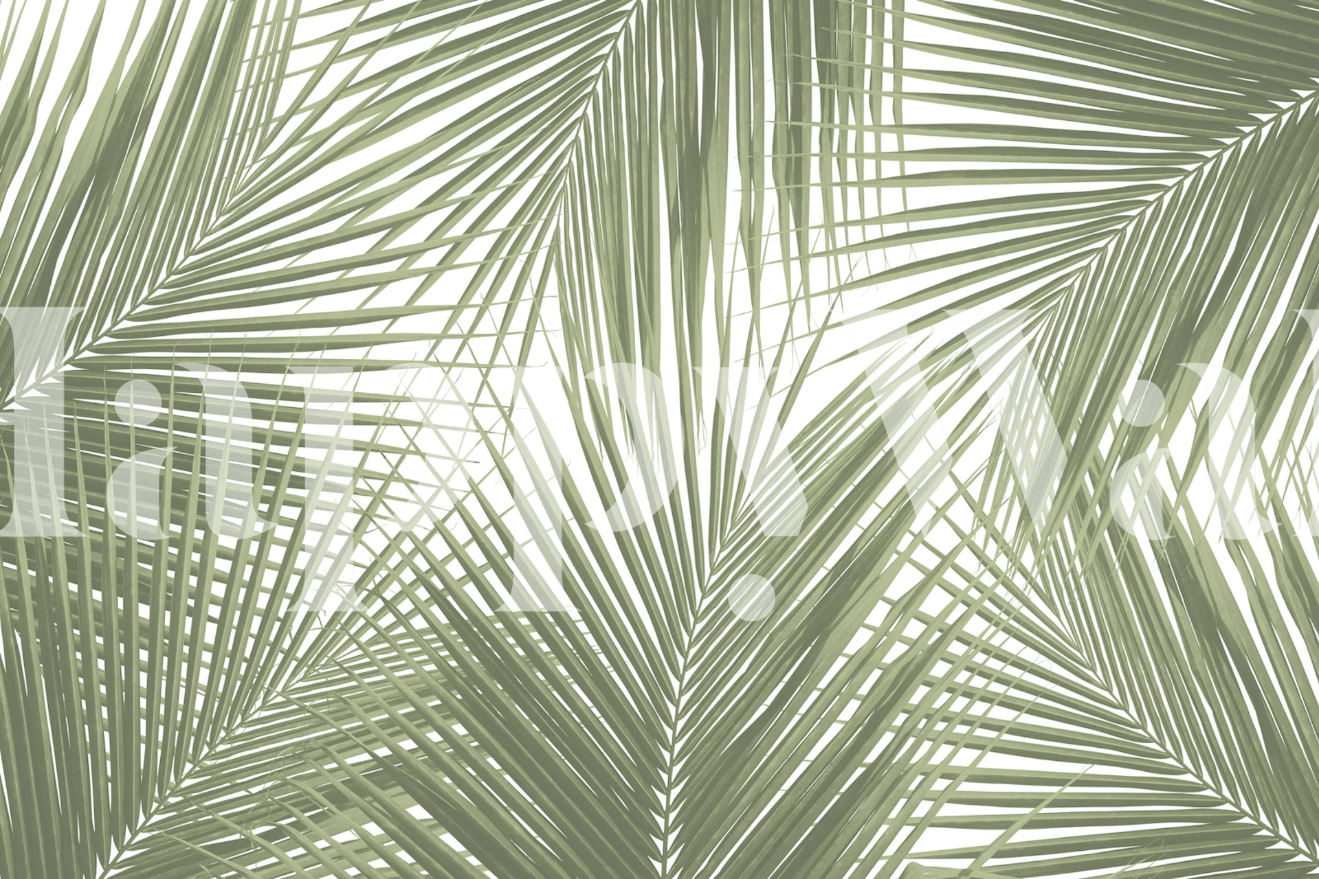 Green Palm Leaves tapet i et rom