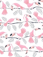 Toucan stripe - pink tapeta