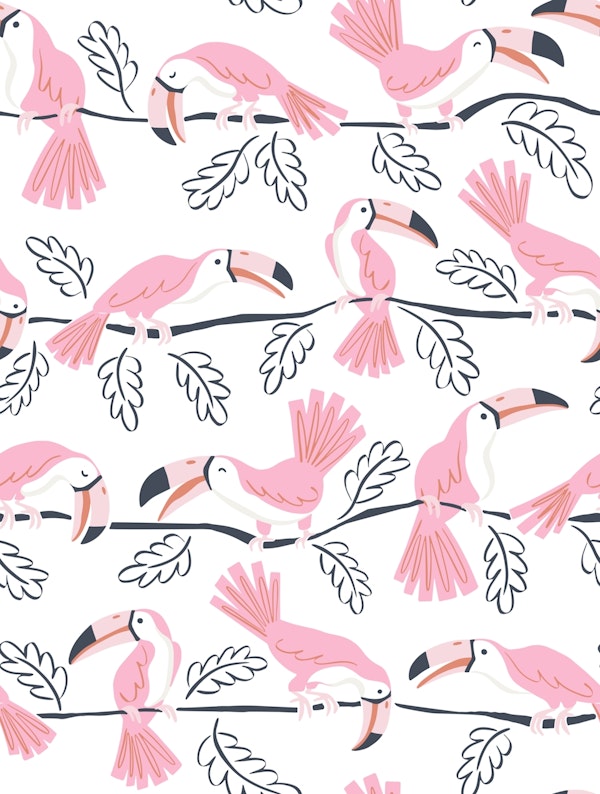 Toucan stripe - pink