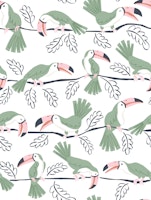 Toucan stripe - green tapeta