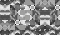 BW Retro Abstract Geo Circle Arch Wave tapete