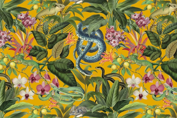 Reptiles Tropical Paradise Botanical Art