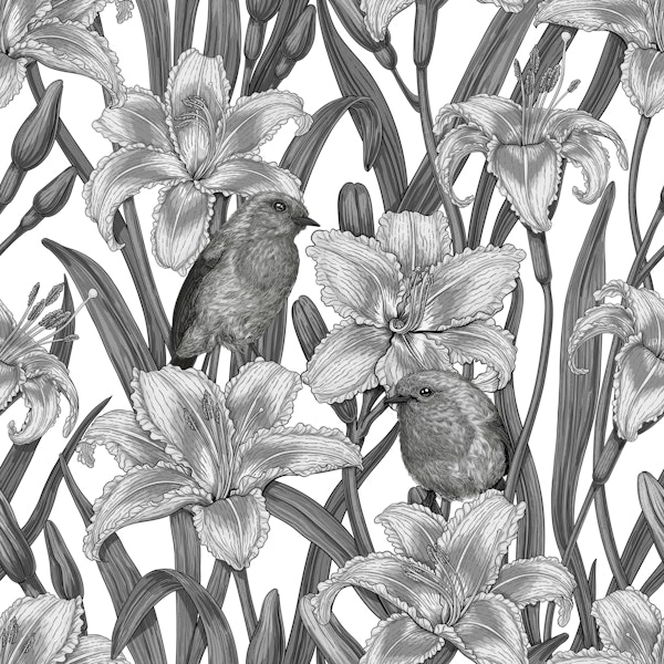 Robins and lilly flowers, black and white