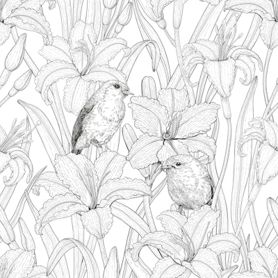 Pattern